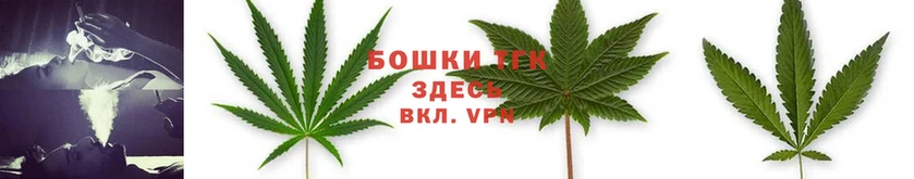 Бошки марихуана THC 21%  Валуйки 